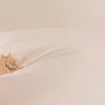 Drio La Rena Διαμέρισμα