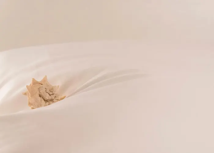 Drio La Rena 아파트